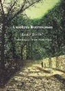 Emily Brontë - Cumbres Borrascosas
