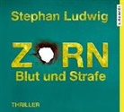 Stefan Ludwig, Stephan Ludwig, David Nathan, David Nathan - Zorn - Blut und Strafe, 6 Audio-CDs (Hörbuch)