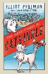 Elliot Perlman, Laura Stitzel - Adventures of Catvinkle