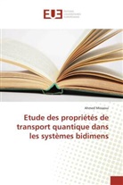 Ahmed Missaoui - Etude des propriétés de transport quantique dans les systèmes bidimens