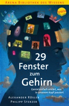 Kai Pannen, Alexander Roesler, Alexander Rösler, Philipp Sterzer, Kai Pannen - 29 Fenster zum Gehirn
