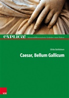 Ulrike Bethlehem, Caesar - Caesar, Bellum Gallicum