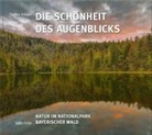 Steffen Krieger - Die Schönheit des Augenblicks