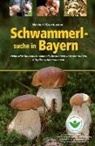 Norbert Griesbacher - Schwammerlsuche in Bayern