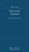 Emile Zola - Deneysel Roman