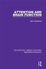Risto Naatanen, Risto (University of Helsinki) Naatanen, Risto Näätänen, Näätänen Risto - Attention and Brain Function