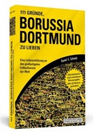 Daniel-C Schmidt, Daniel-C. Schmidt - 111 Gründe, Borussia Dortmund zu lieben