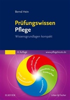 Bernd Hein - Prüfungswissen Pflege