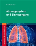Rudolf Schweitzer - Die Heilpraktiker-Akademie. Atmungssystem und Sinnesorgane