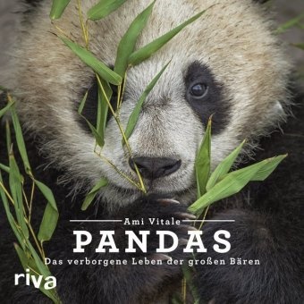 Ami Vitale - Pandas - Das verborgene Leben der großen Bären