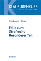 Mustafa Temmu Oglakcioglu, Mustafa Temmuz Oglakcioglu, Mustafa Temmuz Oğlakcıoğlu, Christian Rückert - Fälle zum Strafrecht Besonderer Teil