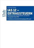 Helmu Kerschbaumer, Helmut Kerschbaumer, Otto Nowotny - IAS 12 - Ertragsteuern