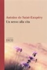 Antoine Saint-Exupéry, C. Reynal - Un senso alla vita