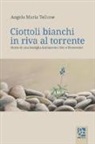 Angelo Maria Tellone - Ciottoli bianchi in riva al torrente. Storia di una famiglia italiana tra Otto e Novecento