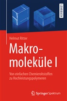 Helmut Ritter - Makromoleküle I