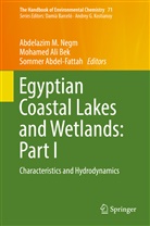 Sommer Abdel-Fattah, Mohame Ali Bek, Mohamed Ali Bek, Mohamed Ali Bek, Abdelazim M Negm, Abdelazim M. Negm - The Handbook of Environmental Chemistry - 71: Egyptian Coastal Lakes and Wetlands: Part I