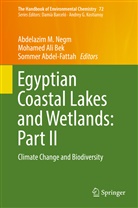 Sommer Abdel-Fattah, Mohame Ali Bek, Mohamed Ali Bek, Mohamed Ali Bek, Abdelazim M Negm, Abdelazim M. Negm - The Handbook of Environmental Chemistry - 72: Egyptian Coastal Lakes and Wetlands: Part II