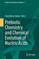 Cesar Menor-Salvan, Césa Menor-Salván, César Menor-Salván - Prebiotic Chemistry and Chemical Evolution of Nucleic Acids
