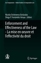 Nicolá Etcheverry Estrázulas, Nicolás Etcheverry Estrázulas, Diego P. Fernández Arroyo, P Fernández Arroyo - Enforcement and Effectiveness of the Law -  La mise en oeuvre et l'effectivité du droit