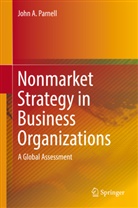 John A Parnell, John A. Parnell - Nonmarket Strategy in Business Organizations