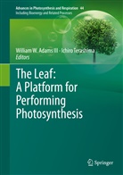 William W. Adams, William W. Adams III, Terashima, Terashima, Ichiro Terashima, Willia W Adams III... - The Leaf: A Platform for Performing Photosynthesis