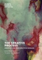 Tod Lubart, Todd Lubart - The Creative Process