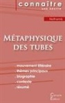 Amélie Nothomb - Fiche de lecture Métaphysique des tubes de Amélie Nothomb (Analyse littéraire de référence et résumé complet)