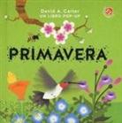 David A. Carter - Primavera. Libro pop-up