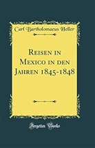 Carl Bartholomaeus Heller - Reisen in Mexico in den Jahren 1845-1848 (Classic Reprint)