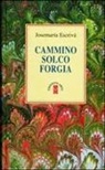 Josemaría Escrivá de Balaguer, Josemaría (san) Escrivá de Balaguer - Cammino-Solco-Forgia