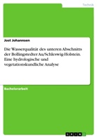 Jost Johannsen - Die Wasserqualität des unteren Abschnitts der Bollingstedter Au/Schleswig-Holstein. Eine hydrologische und vegetationskundliche Analyse