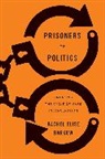 Rachel Elise Barkow - Prisoners of Politics