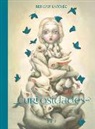 Benjamin Lacombe, Benjamin Lacombe - Curiosidades : Benjamin Lacombe artbook : una monografía, 2003-2018. A monography