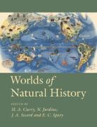 Helen Anne Curry, Helen Anne (University of Cambridge) Jardin Curry, EDITED BY H. A. CURR, H. A. Curry, Helen Anne Curry, N. Jardine... - Worlds of Natural History
