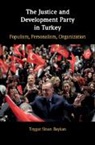 Toygar Sinan Baykan - Justice and Development Party in Turkey