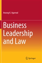 Anurag K Agarwal, Anurag K. Agarwal - Business Leadership and Law