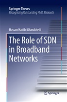 Hassan Habibi Gharakheili - The Role of SDN in Broadband Networks