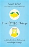 David Richo - Five True Things