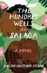Ayesha Harruna Attah, Ayesha Harruna Attah - The Hundred Wells of Salaga