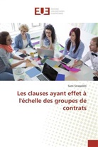 Sami Serageldin - Les clauses ayant effet à l'échelle des groupes de contrats
