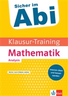 Maximilia Selinka, Maximilian Selinka, Jörg Stark - Klett Klausur-Training - Mathematik Analysis