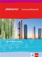 ¡Adelante! Curso profesional. Ausgabe spätbeginnende Fremdsprache ab 2018: ¡Adelante! Curso profesional. Ausgabe spätbeginnende Fremdsprache ab 2018, Grammatisches Beiheft