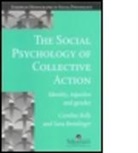 Sara Breinlinger, Caroline Kelly - The Social Psychology of Collective Action