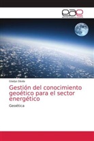Gladys Dávila - Gestión del conocimiento geoético para el sector energético