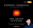 Stephen Hawking, Stephen W. Hawking, Leonard Mlodinow, Ranga Yogeshwar, Hainer Kober - Der große Entwurf, 1 MP3-CD (Hörbuch)