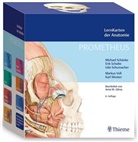 Eri Schulte, Erik Schulte, Udo Schumacher, Udo u a Schumacher, Michae Schünke, Michael Schünke - Prometheus, LernKarten der Anatomie