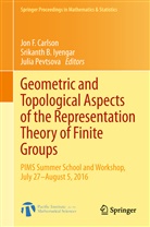 Srikant B Iyengar, Srikanth B Iyengar, Jon F. Carlson, Srikanth B. Iyengar, Julia Pevtsova - Geometric and Topological Aspects of the Representation Theory of Finite Groups
