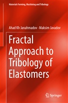 Ahad K Janahmadov, Ahad Kh Janahmadov, Maksim Javadov - Fractal Approach to Tribology of Elastomers
