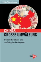 Felix Wemheuer - Chinas große Umwälzung