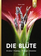 Dieter Hess - Die Blüte